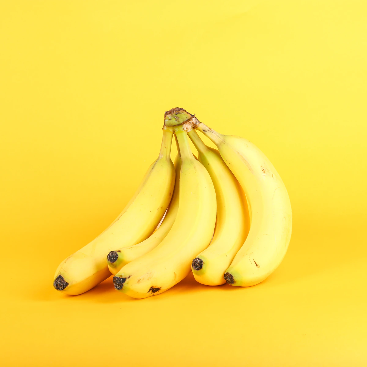 Cavendish Banana Export Grade
