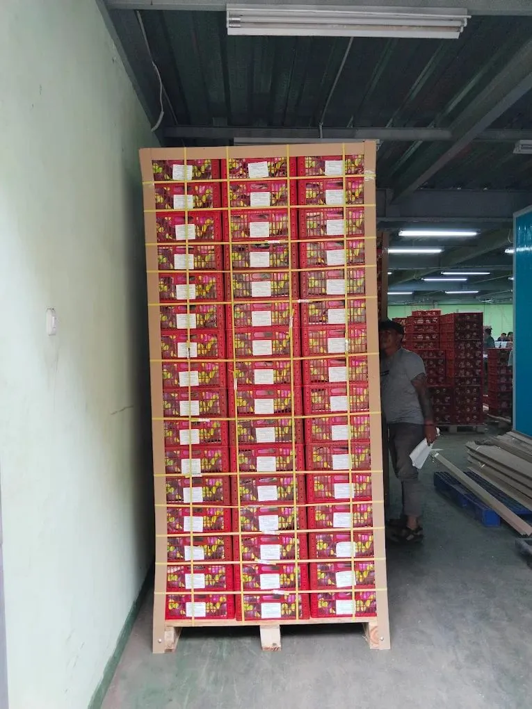Sorting Process